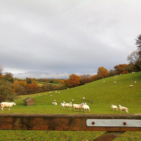 Gwilym'S Stable Builth Wells Exterior foto