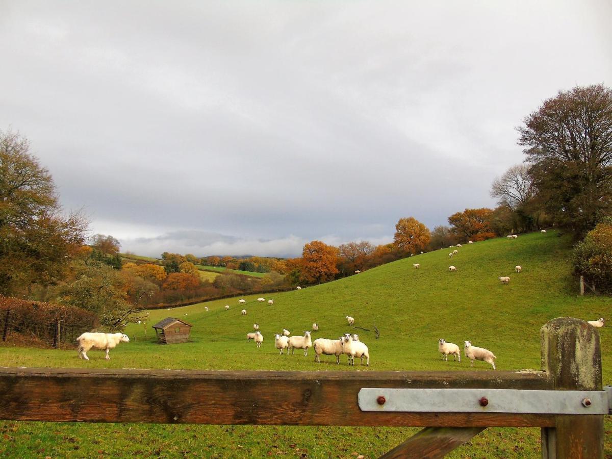 Gwilym'S Stable Builth Wells Exterior foto